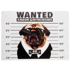 Альбом для рисования А4, 40 листов на скрепке, "Гангста", обложка мелованный картон, блок офсет 100 г/м2 Нет бренда