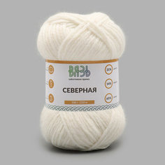 Пряжа для вязания Вязь Северная 100гр 210м (21% шерсть, 14% нейлон, 65% акрил) (01 белый), 3 мотка