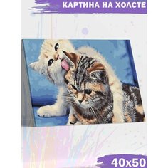 Картина по номерам 40х50 Paintboy
