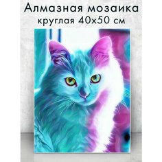 Алмазная мозаика (круг) "Белоснежный котик" 40х50 см Colibri