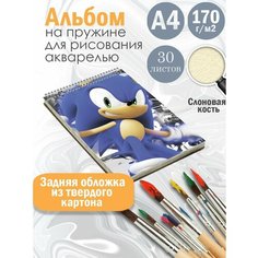 Альбом планшет для рисования акварелью мультфильм Соник Альбомы