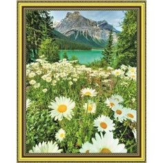 Алмазная мозаика на подрамнике 40*50 "Ромашки у озера" Нет бренда