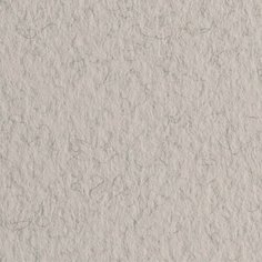 Fabriano Бумага для пастели "Tiziano" 160г/м2 50x65см лама, 10л