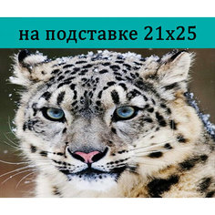 Стиль для Дома Алмазная мозаика 25х21 см / частичная выкладка