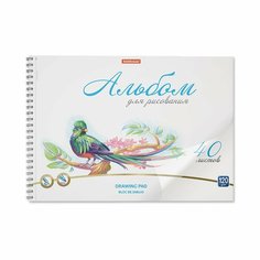 Альбом для рисования А4, 40 листов на спирали, Birds, пластиковая обложка, блок белизна 100%, плотность 120 г/м2, микроперфорация для отрыва Россия