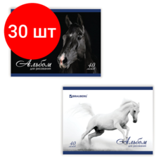 Комплект 30 шт, Альбом для рисования, А4, 40 листов, скоба, обложка картон, BRAUBERG, 200х283 мм, "Благородные кони" (2 вида), 103728