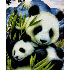 Алмазная мозаика квадратные стразы 40*50 радужная панда, пончик, чёрно-белая, поп-арт, абстракция, животные, саламандра Kakadu