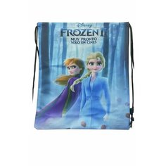 Мешок для сменной обуви Холодное сердце FROZEN Принцесса Эльза / сумка для бассейна Нет бренда