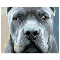 Картина по номерам Грозный пёс 40х50 см Hobby Home