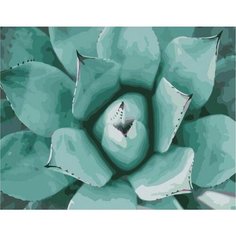 Картина по номерам Суккулент 40х50 см Hobby Home