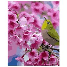 Картина по номерам Colibri Маленькая птичка 40х50 см Холст на подрамнике