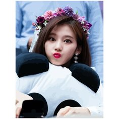 Картина по номерам на холсте TWICE Kpop Sana - 36 30X40