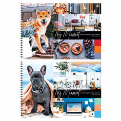 Альбом для рисования 40л, А4, на гребне ArtSpace "Стиль. This moment", эконом - 8 шт. Спейс