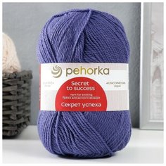 Пряжа "Секрет успеха" 100% шерсть 250м/100гр (484-Баклажан) Пехорка