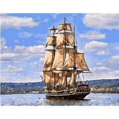 Картина по номерам На всех парусах 40х50 см Hobby Home
