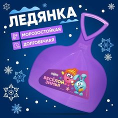 Ледянка Смешарики «Весёлой зимы» Нет бренда
