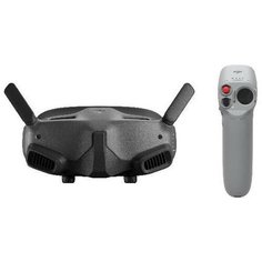 Очки DJI Goggles 2 Motion Combo