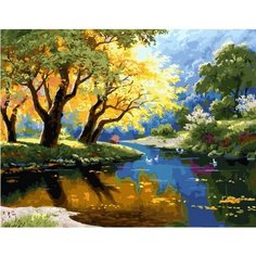 Картина по номерам Солнечный пруд 40х50 см Hobby Home