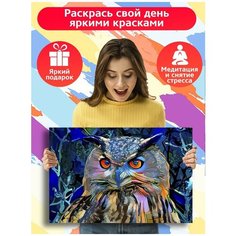 Картина по номерам красочная сова (абстракция, филин) - 8788 Г 60x40