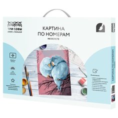 ТРИ СОВЫ картина по номерам милая пара, 40 х 30 см, разноцветный