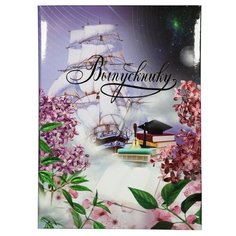 Портфолио папка Выпускнику А4 Космос с 3мя файлами ламинированная Noname