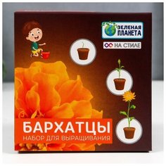 Набор для выращивания с глиняным горшочком (Бархатцы) Noname