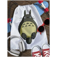 Мешок для сменной обуви мой сосед тоторо - 5242 Brut Boxers