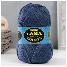 Пряжа "Соната" акрил 50%, шерсть п/т 50% 250м/100гр (169 серый) 9316070 Сима ленд