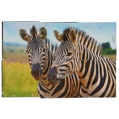 Развивающая игрушка Умные игры Экзотические животные, 01317-ANI