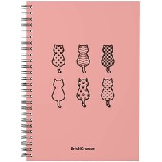 Тетрадь общая с пластиковой обложкой на спирали ErichKrause Powder, Cats, розовый, А5, 80 листов, клетка (4 шт.)