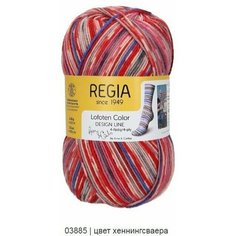 Пряжа Design Line дизайнерская линия от Arne & Carlos "Gargia Color" Schachenmayr Regia, 4 нитки (03885)