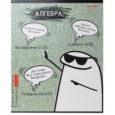Тетрадь предметная 48 листов в клетку Школьные мемасики "Алгебра", обложка мелованный картон, тиснение холст, блок офсет Проф Пресс