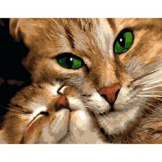 Картина по номерам Кошачьи ласки 40х50 см АртТойс