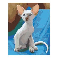 Картина по номерам Питерболд 40х50 см АртТойс