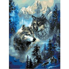 Картина по номерам Всегда вместе 40х50 см АртТойс