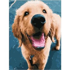 Картина по номерам Верный друг 40х50 см АртТойс