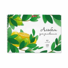 Альбом для рисования А4, 40 листов на спирали, Juicy Fruits, плотность 120 г/м2, микроперфорация для отрыва Россия