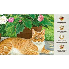 Алмазная мозаика 45х60, без подрамника, полная выкладка квадратными стразами, кот, животные Даймонд Канвас