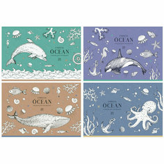 Альбом для рисования 20л, А4, на скрепке BG "Ocean", 12 штук, 339407 БиДжи