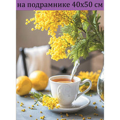 Алмазная мозаика 40х50 на подрамнике Мимоза, алмазная живопись 50х40 40*50, Наборы с круглыми стразами полная выкладка Стиль для Дома