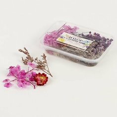 Школа талантов Набор сухоцветов «Сиреневая дымка»