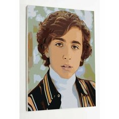 Картина по номерам Тимоти Шаламе Раскрасим сами