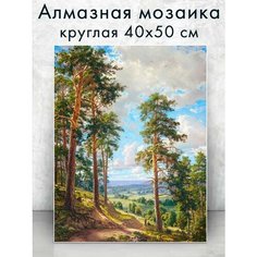 Алмазная мозаика (круг) "Сосновый бор" 40х50 см Colibri