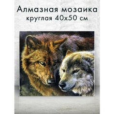 Алмазная мозаика (круглая) Пара волков 40х50 см Colibri