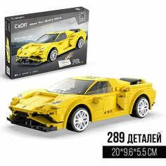 Конструктор радиоуправляемый «Спорткар», 289 деталей, 2 варианта управления Double Eagle