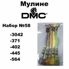 Нитки мулине DMC Embroidery для вышивания / Набор №58 / цвета 3042, 371, 402, 445, 564