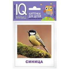 Книга Айрис-пресс Умный малыш. Птицы, 9х8 см