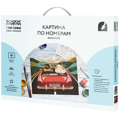 Картина по номерам на холсте ТРИ совы "В лето на кабриолете" 30*40 с акриловыми красками и кистями 1 шт нет бренда