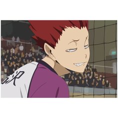 Картина по номерам на холсте Аниме Волейбол Тендо - 753