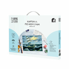 Картина по номерам на холсте ТРИ совы "Шторм", 40*50см, с акриловыми красками и кистями (арт. 335139)